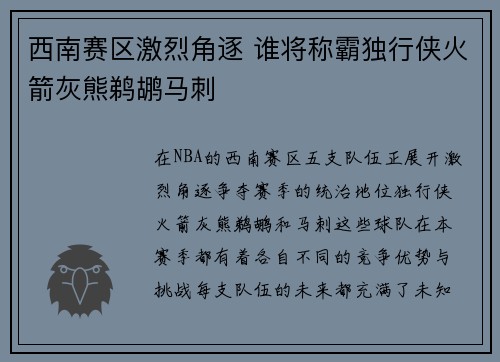 西南赛区激烈角逐 谁将称霸独行侠火箭灰熊鹈鹕马刺